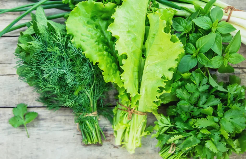 Yeşil Yapraklı Sebzeler
